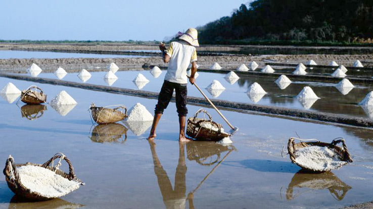 Kampot Salt Product